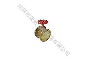 Brass flange globe valve
